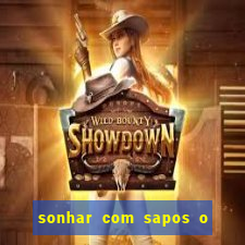 sonhar com sapos o que significa